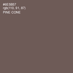 #6E5B57 - Pine Cone Color Image